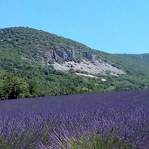  Hébergement de vacances La Fleur D'olivier